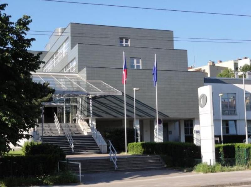 Instituce dětského ombudsmana: Vítězství pro práva dětí v ČR