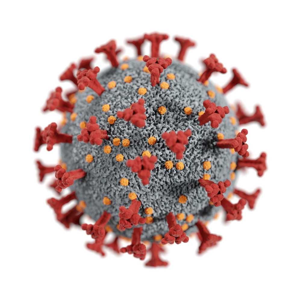 SARS-CoV-2 může pronikat do mozku: Brněnští vědci odhalili cestu viru