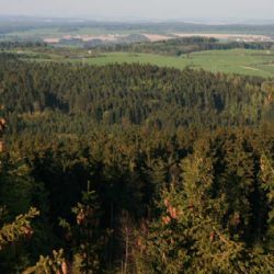 K budoucnosti likusáků na Kraví hoře se vyjádří veřejnost, město v září vyhlásí anketu