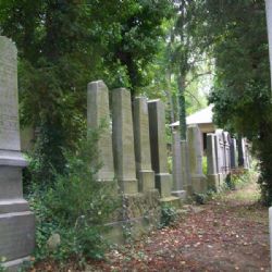 Žebětínský hřbitov se rozšíří, přibude i kolumbárium