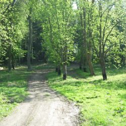 Cyklostezka na Řípské spojí Olomouckou s Tuřankou