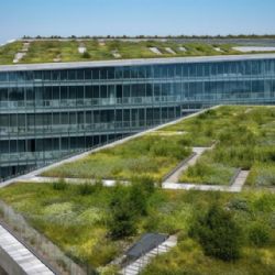 Zelená střecha pro všechny: víte, že existuje dotační program Zeleň střechám Brno?