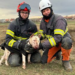 Pejsek uvízl v trubce a byl napaden nutriemi, záchranáři ho museli osvobodit