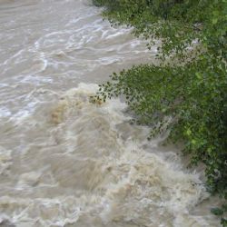 Brno pošle do Německa milion korun. Důvodem je pomoc po záplavách