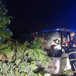 Vážná nehoda autobusu u Omic: Padající strom zranil řidičku