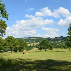 Za motýly do Bílých Karpat s Janem Uřičářem