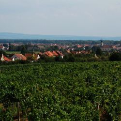 40. ročník pochodu do Ratíškovic