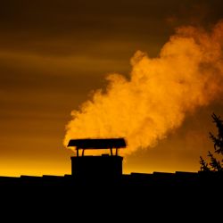 Podpora ekologické výchovy a oživení nábřeží i vnitrobloků pokračuje