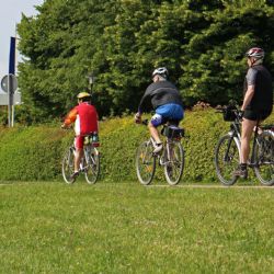 Otevřený dopis vyzývá ke spolupráci na evropské, národní i místní úrovni na rozvoji cyklistické dopravy