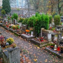 Dotace zpětně pomůže s financováním elektrovozidla pro brněnské hřbitovy