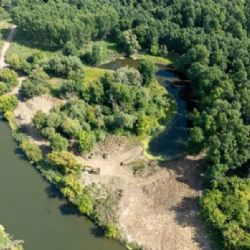 Dyje se prodlouží o 1 km: projekt proti suchu a pro biodiverzitu na česko-rakouské hranici