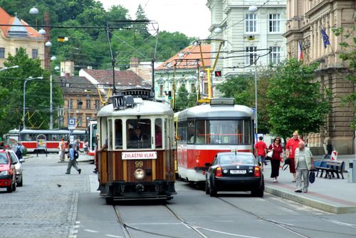 obrázek:Javory v centru Brna ustoupí stavbě podzemního kolektoru