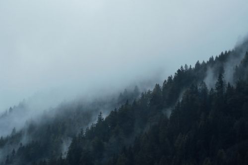 Foto: Revitalizace lesů na severu Brna - nové rekreační zóny do března