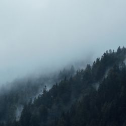 Revitalizace lesů na severu Brna - nové rekreační zóny do března