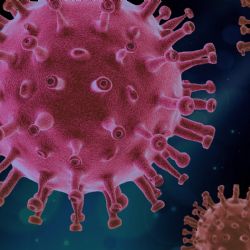 Strážníci, kteří se zapojili do boje s covidem, dostanou odměnu