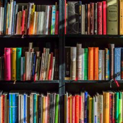 Ústřední budovu Knihovny Jiřího Mahena i její pobočky čeká modernizace 