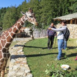 Minulost i budoucnost. Zoo Brno slaví 70 let od otevření výstavou v Urban centru