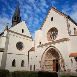 Porta coeli rozkvétá: Obnova sadů díky dobrovolníkům a spolku Hojnost