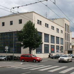 Sokolové v Brně uchvátili průvodem a cvičením, potlesk burácel ulicemi i stadionem