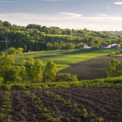 Akvaponická farma Future Farming v Brně zkrachovala