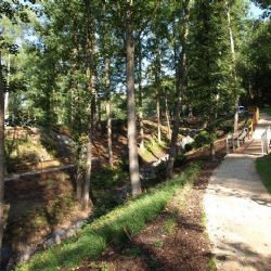 Kolem konikleců na Kamenném vrchu vznikne naučná stezka