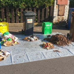 Milostivé léto 3: V Brně se připravuje odpuštění dluhů za poplatek za odpad