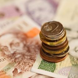 Brno nechá posedmé rozhodnout občany o části městského rozpočtu