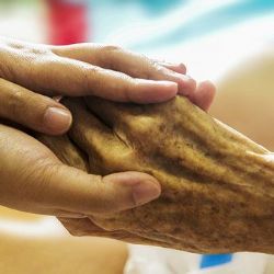 Víceleté kulturní dotace podpoří státní příspěvkové organizace a dlouhodobé projekty v Brně