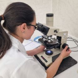 Vesmírné technologie a elektronová mikroskopie vyjíždí do Dubaje i na tour po jižní Moravě