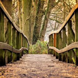 Cesty parku Lužánky budou rekonstruováný