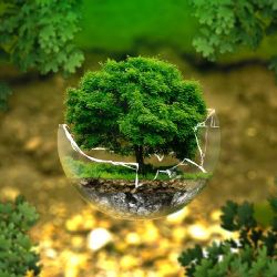 Ekologické dotace podporují trvalou udržitelnost v Brně