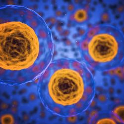 Léčba buněčnou terapií po traumatech očí 