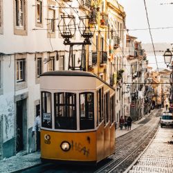 Lužánky jezdí po Brně v galerijní šalině