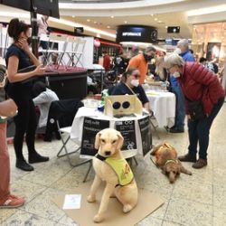 Nevidomí budou vyprávět své životní příběhy i koncertovat