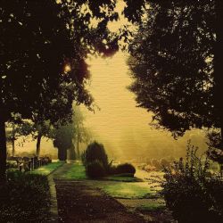 Vedení města Brna se také přijde rozloučit se zesnulým rockerem Pavlem Pelcem 