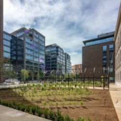 Každý šestý v Brně pracuje v oboru podnikových a IT služeb. Příští rok přibude až dva tisíce nových míst