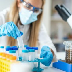 Světově unikátní mikrobiomová banka vzniká v České republice